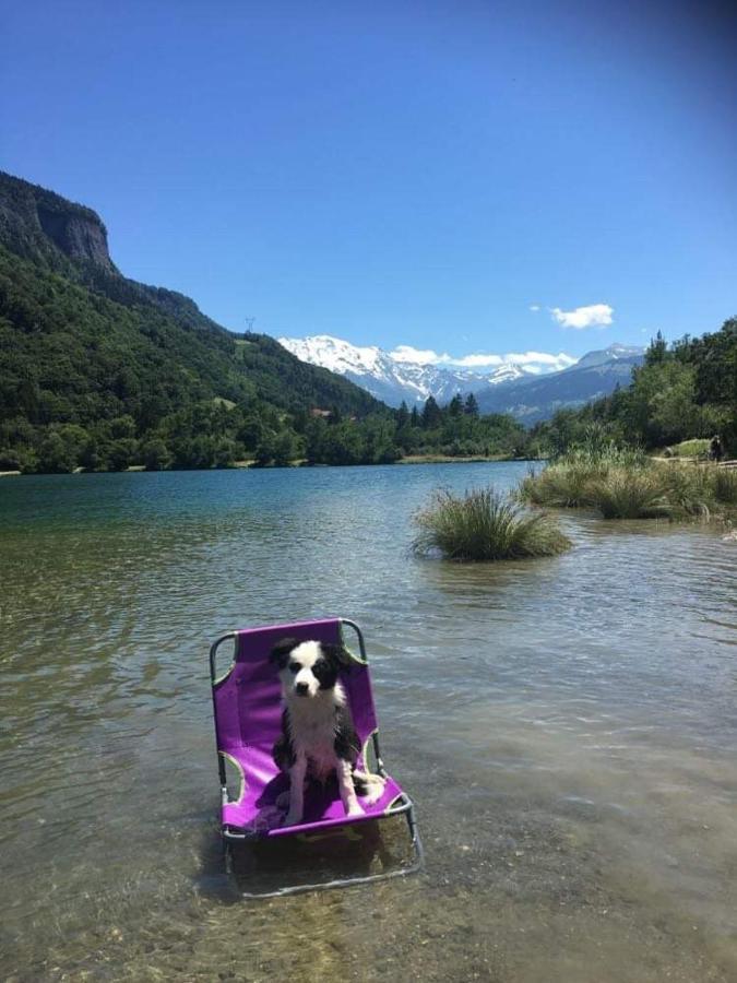 Le Reve De Lou Et Balou Lejlighed Saint-Gervais-les-Bains Eksteriør billede